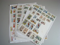Afrique Francophone ensemble de timbres sur feuilles d'album, TB / SUP.